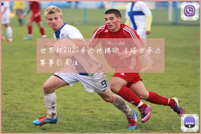 世界杯2022举办地揭晓 卡塔尔承办赛事引关注