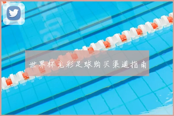 世界杯竞彩足球购买渠道指南